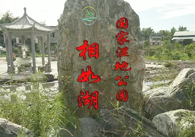 巴中景觀(guān)巖石石雕